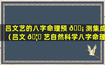 吕文艺的八字命理预 🐡 测集成（吕文 🦆 艺自然科学八字命理）